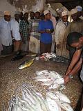 TANZANIA - Zanzibar Stone Town - Mercato del pesce - 2